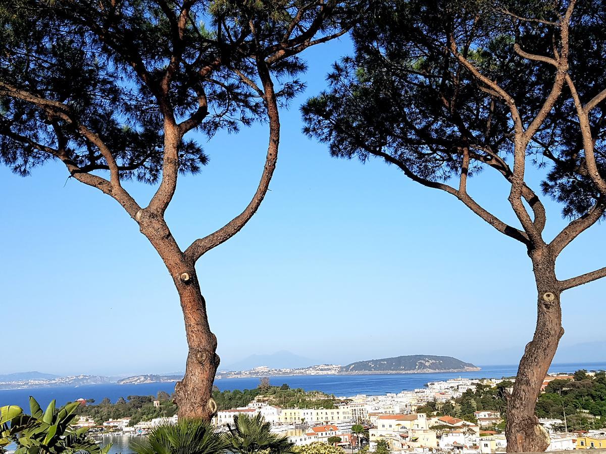 شقة Ischia Dream Visions المظهر الخارجي الصورة