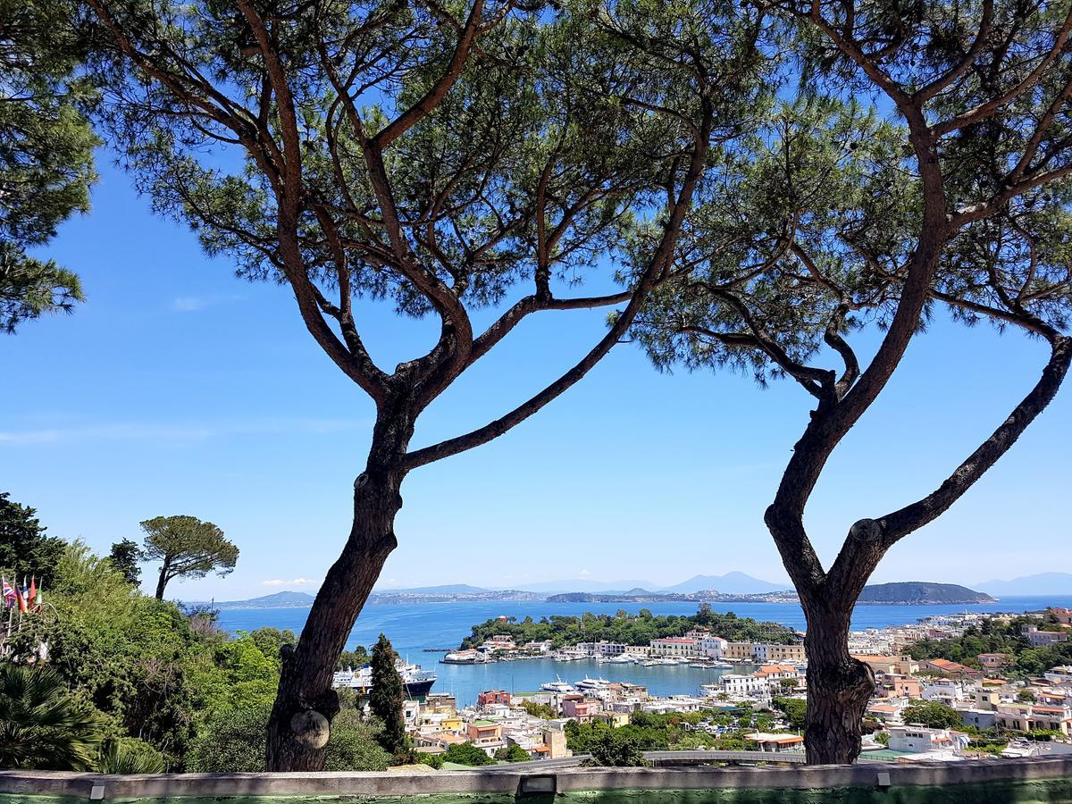 شقة Ischia Dream Visions المظهر الخارجي الصورة