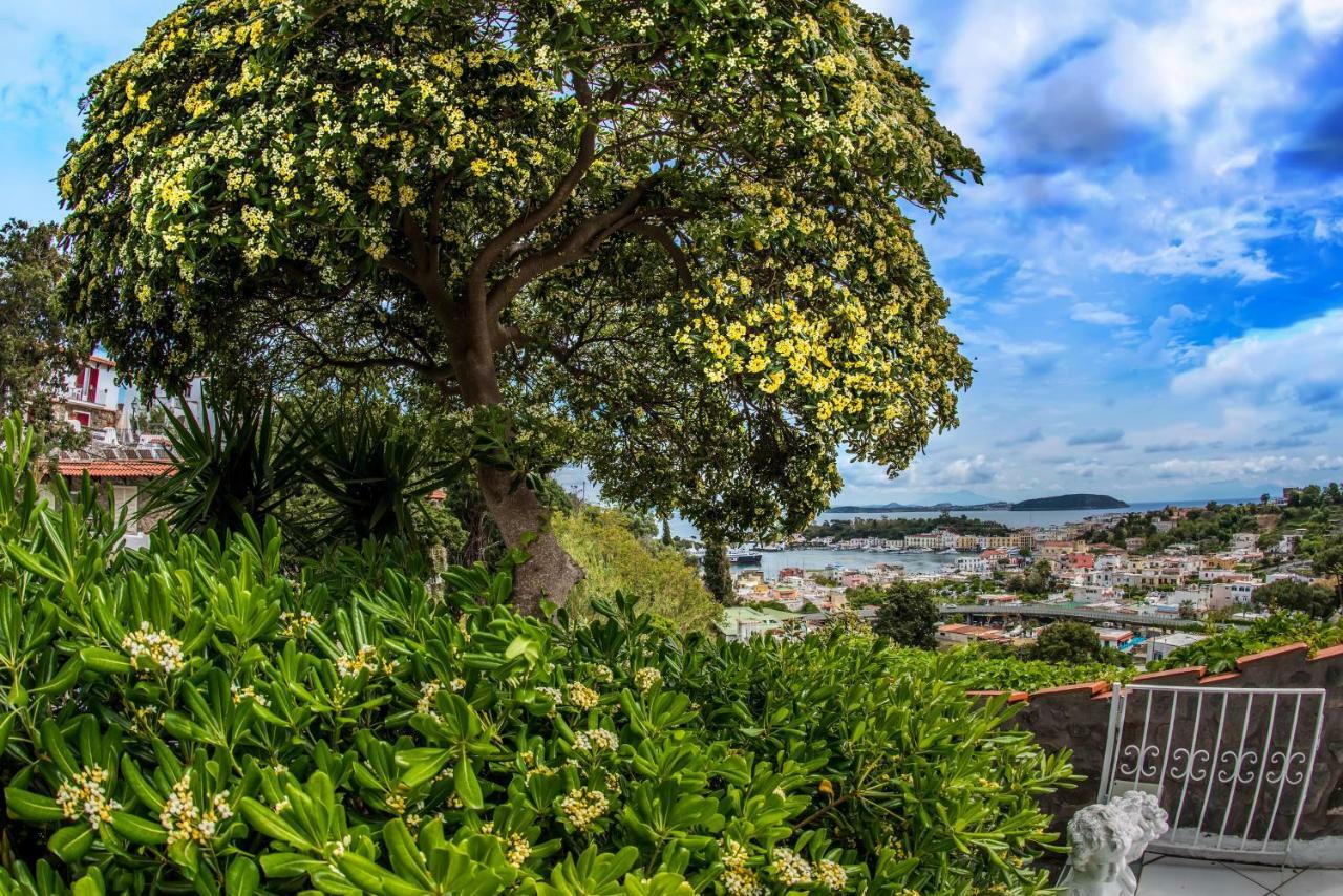 شقة Ischia Dream Visions المظهر الخارجي الصورة